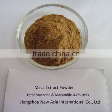 Pure Maca Powder Water Soluble Extract Ratio 4:1,Macamides 10% 40% HPLC photo-2