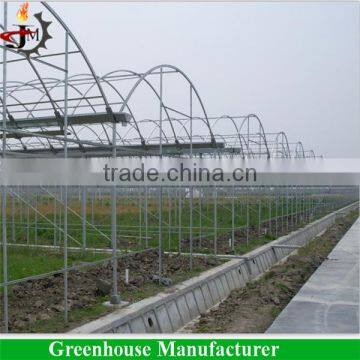 Reinforced Plastic Film Wide Multi Span Greenhouse photo-5