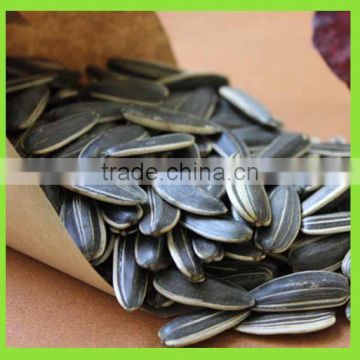 2016 top quality black long type edible sunflower seeds