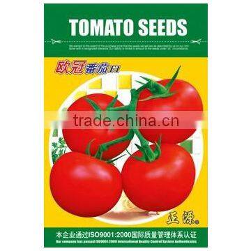 High Greenhouse Tomato Seeds photo-2