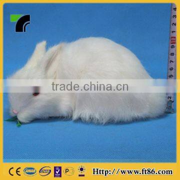 New Products Miniature Animals Gardening Wholesale Taxidermy photo-5