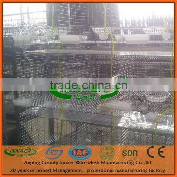 Low Carbon Steel Wire Pigeon Cage Innaer 24 years Factory