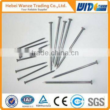 hot salescommon nail iron nail,Round Iron Polish Common Nails (factory)