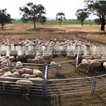 Cattle handling,Cattle gate,Corral panels manufacture