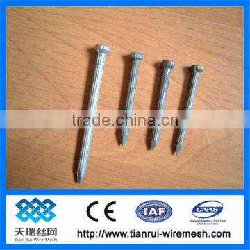 Nail/wire nail/steel nail