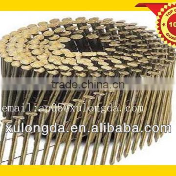 coil nail wire/high quality coil nail