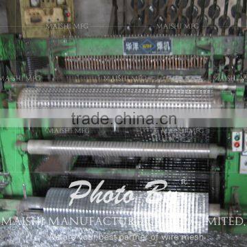 Electro Galvanized Welded Mesh photo-6