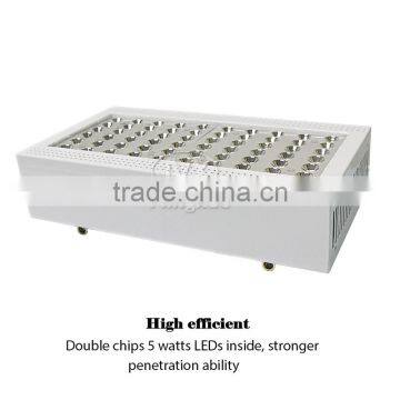 Grow Light For Indoor Plants Light 300W