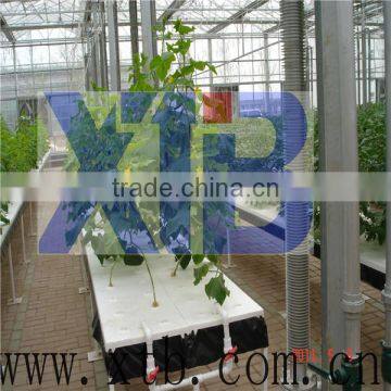 Hydroponic plastic greenhouse for sales