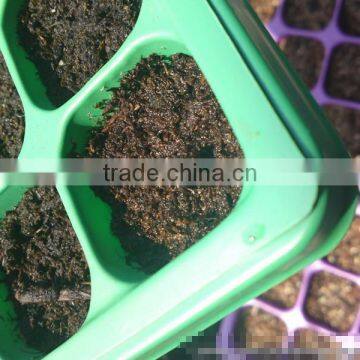 Polystyrene (PS) Plastic Seed Plug Tray With 32 to 512 Cell photo-4