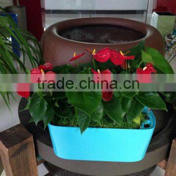 glossy planter,flower pot,glossy vase