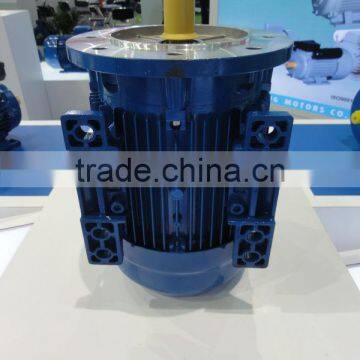 IEC Standard Three Phase IE3 Electric Motor With CE photo-3