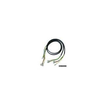 Multi-Conductor Cable Harnesses (RoHS Compliance)