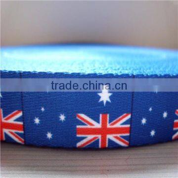 Custom Printed 1inch dog collar webbing wholesale