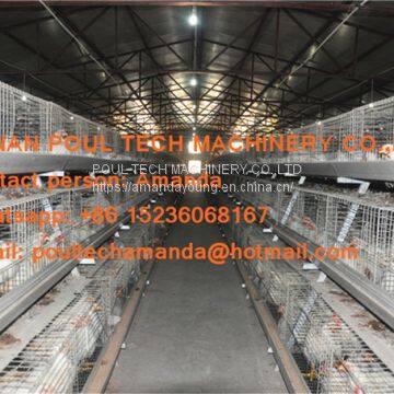 Guyana Poultry Farming Equipment - A Type Battery Broiler Chicken Cage with Automatic Chicken Manure Clean Machine