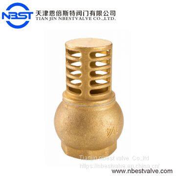 FV-B 1/4inch Female Brass Foot Valve And Strainer For Pump photo-2