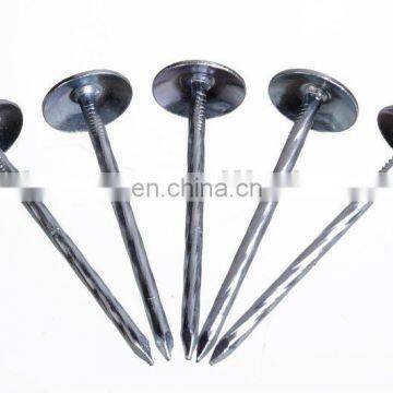 Hot Sale Twist Roofing Nail(SW-043B) photo-2