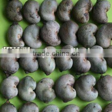 Dried Style Vietnam Cashew Nuts/ Cashew Kernels ww240/ ww320