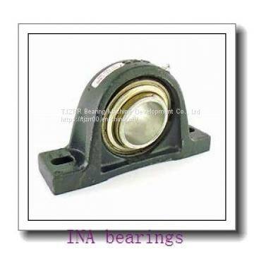 INA F-91943 cylindrical roller bearings