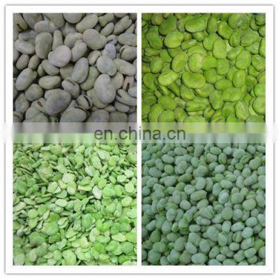 Sinocharm Frozen Vegetable Healthy and Fresh Without Foreign Matter Frozen White Broad Bean photo-5