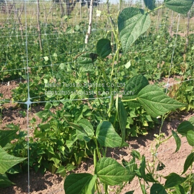 Garden PP Plastic Climbing Mesh Plant Flower Support Trellis Net