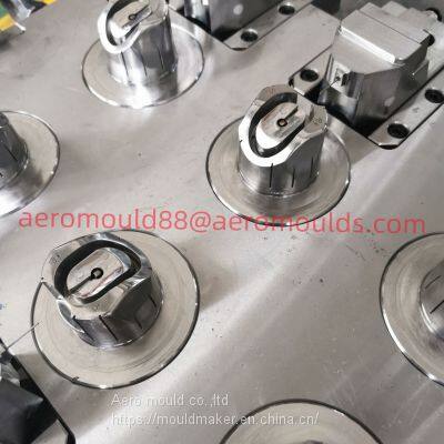 Spray cap  mould supplier in China