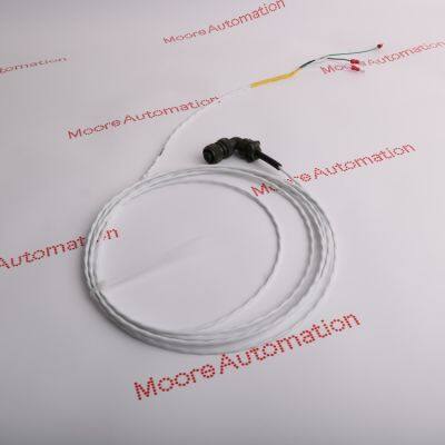 Bently Nevada 89477-80