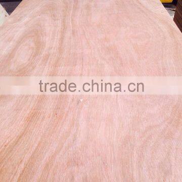 Keruing plywood AB grade