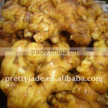 Supply fresh ginger-high quality-low price