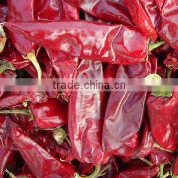 Dried Beijing Red CHILLI paprika