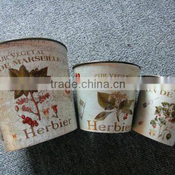 Plastic Flower Pots with Paper finish (3 sizes)