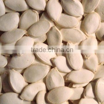 new crop chines snow white pumpkin seeds 13cm