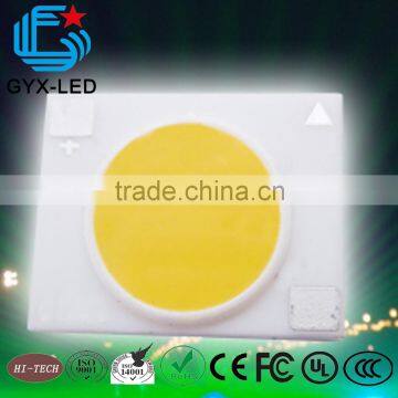 Shenzhen LED manufacturer 10w/20w/30w/50w white 100w cob led