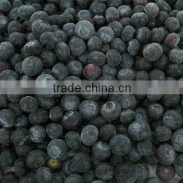 IQF frozen cultivated blueberry