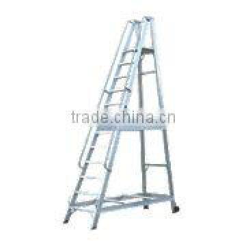 Warehouse Step Aluminium 12 Treads ladder