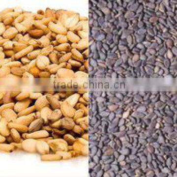 Automatic Advance Dry Method Hulled Sesame Seed Processing Plant photo-5