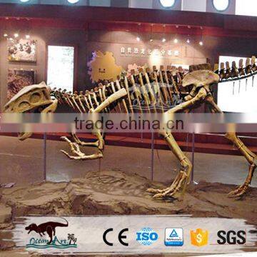 OA4082 High Quality Fossils Dinosaur