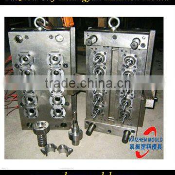 Supply 10 cavity PET preform mould/mold/moulding manufacture