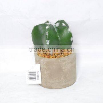 Green Artificial Cactus Succulent Plant In Round Cement Container