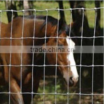 Hot-dipped/Electro Galvanized Cattle Fence(Factory)