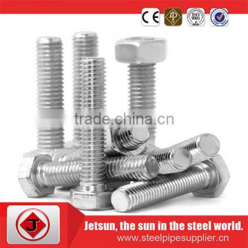 Stainless Steel Hex Cap Screws Bolts