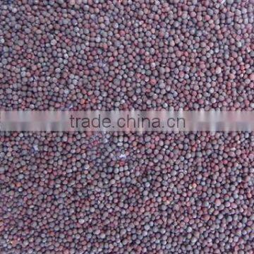 MUSTARD SEED photo-2