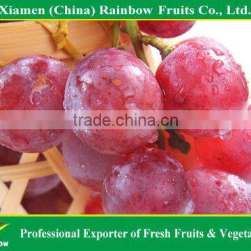 Export Delicious Sweet Fresh Red Globe Grape Red Globe Grape From China