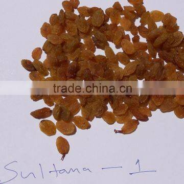 BEST SUPPLIER SULTANA RAISIN FROM INDIA