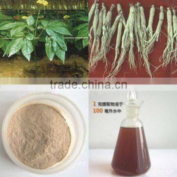 Ginseng Root Extract