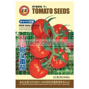 High yield tomato seeds seeds for sale