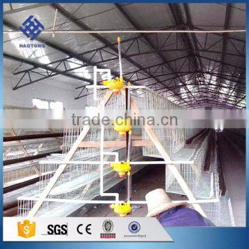 30 Years' Factory Supply Automatic Layer Chicken Cage photo-4