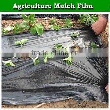 High Quality Agricultural Black Polyethylene Plastic Mulch Film for Strawberry photo-6