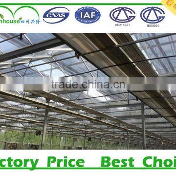 Low Cost High Quality Agricultural Greenhouses photo-6