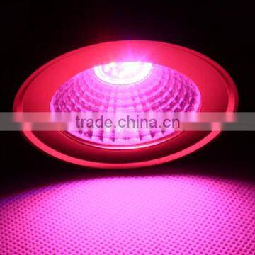 New Model 12W Spot COB Led Grow Light for Small Pot Plant Growing photo-4